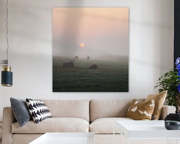 Schafe, Morgensonne und Nebel von Tania Perneel