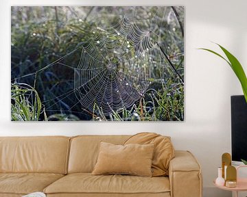 Planten in de ochtend mist met dauw op spinnenweb van Trinet Uzun