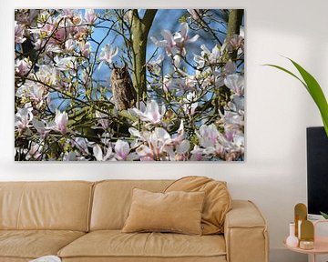 Opmerkzame ransuil in een bloeiende magnolia van Susanne Pieren-Canisius