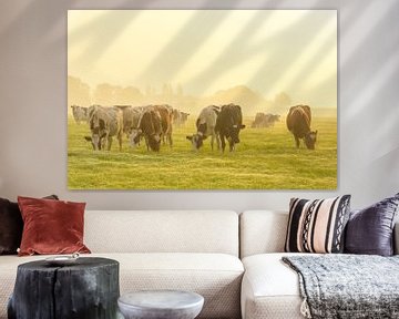 Koeien in de wei tijdens een mistige zonsopgang in de IJsseldelta