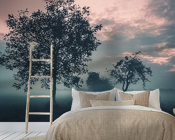 Morning fog in the Münsterland by Steffen Peters