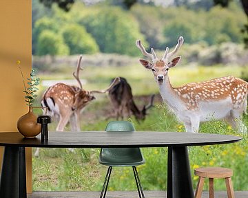 Bambi met vriendjes van Anouschka Hendriks