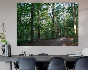 Oak avenue in the forest by Wim vd Neut