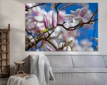 Bloesem Magnolia van Johann van der Geest