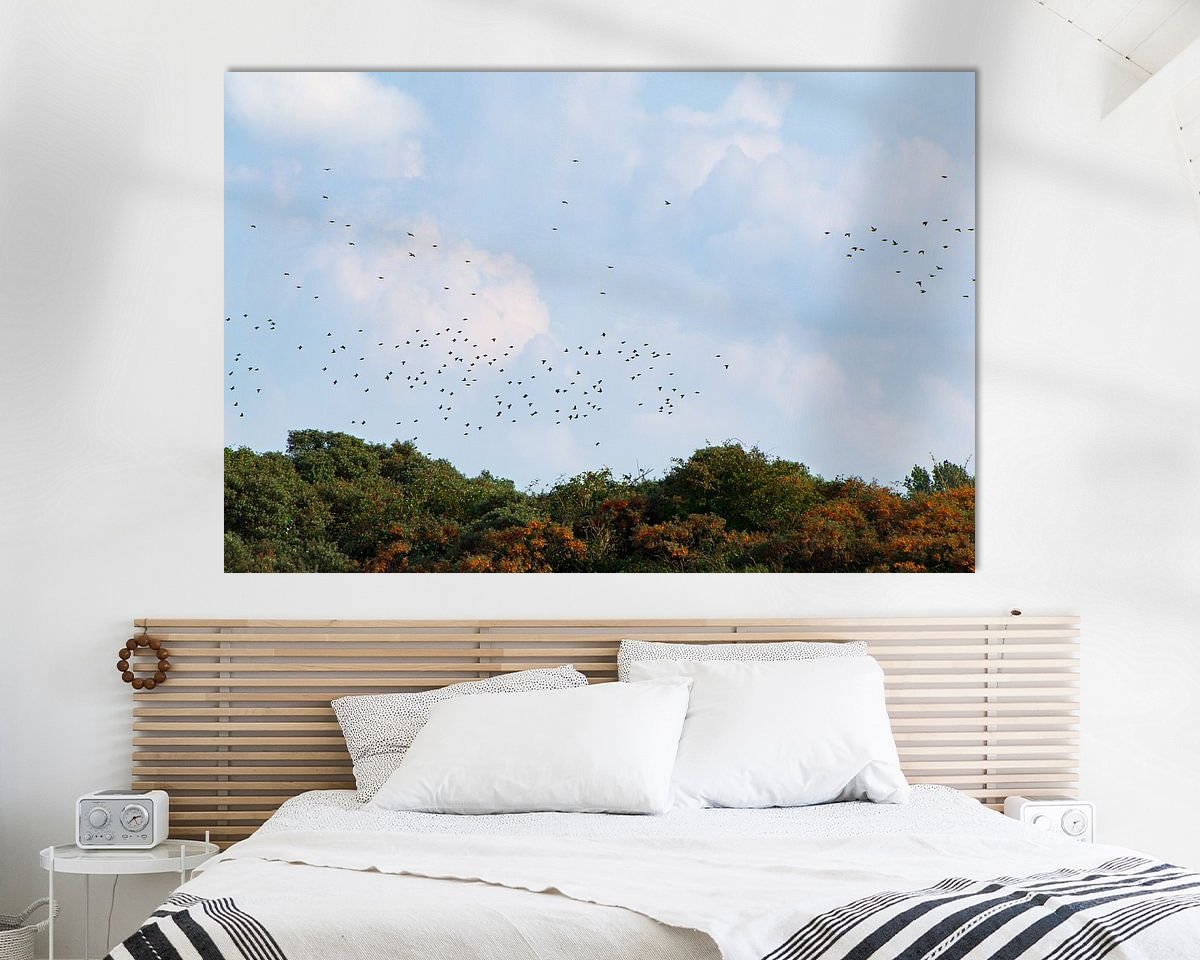 Aperçu de la chambre