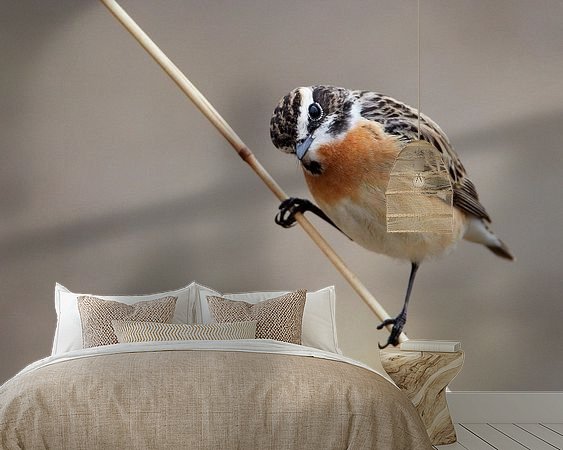 Voorbeeld van het werk in een kamer