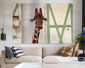 Girafe marrante sur Angelica Bouwmeester