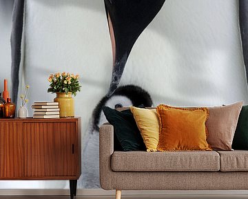 LP 71038022 Penguin baby with mother, Antarctica by BeeldigBeeld Food & Lifestyle