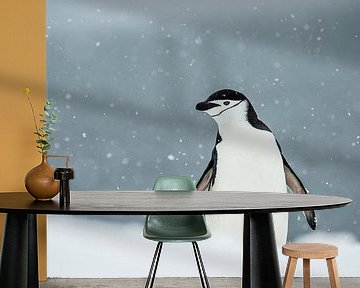 LP 71126425 Kinband pinguïn op Antarctica van BeeldigBeeld Food & Lifestyle