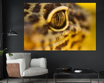 LP 70482670 Erwachsener Leopardgecko, Nahaufnahme von BeeldigBeeld Food & Lifestyle