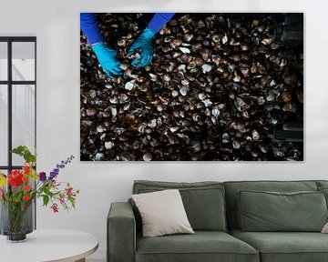 Bulbs Life by Greetje Heemskerk