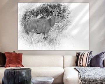 Kudu antilope in Zuid-Afrika. van Gunter Nuyts