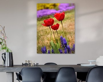 Tulpen von Rob Boon