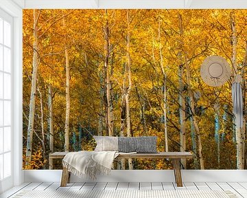 Herfst van Photo Wall Decoration