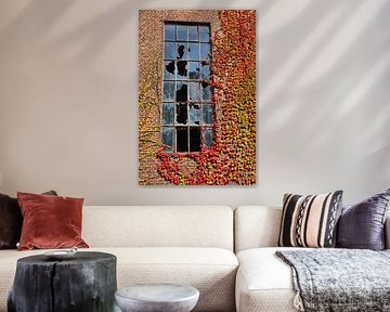 Autumn window