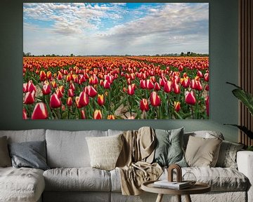 Tulips van Arjen Uijttenboogaart