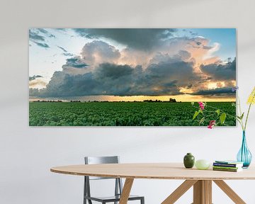 Coucher de soleil avec nuage d'orage sur un vaste paysage sur Menno van der Haven