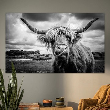 Schottischer Hochlandbewohner von Joost Lagerweij