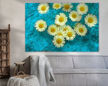 Light yellow daisies by Corinne Welp