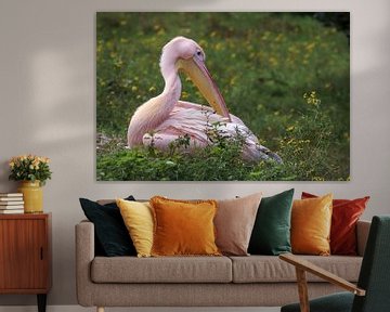 Pink Pelican by Anjella Buckens