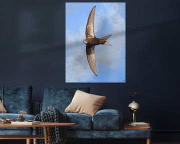 Gierzwaluw in Vogelvlucht van Volwater