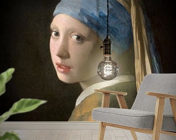 Meisje met de Parel - The Enlightened Edition von Marja van den Hurk