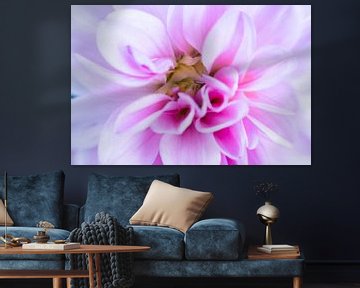 Lichtroze dahlia met geel hart