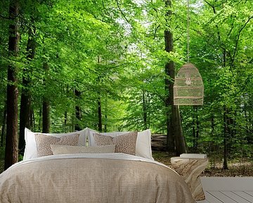 Beech forest in Emmen III by Corinne Welp