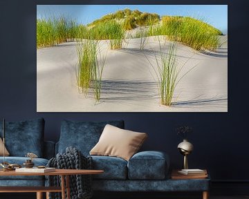 Zandduinen met duingras op Terschelling van Henk Meijer Photography