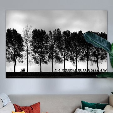 Cycling silhouettes by Leon van Bon