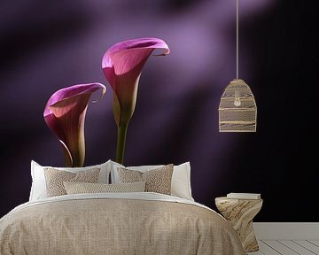 Sensual beauty by Karel Ham