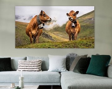 koeien met koeienbel in de bergen van Anouschka Hendriks