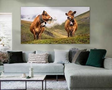 Kühe mit Kuhglocken in den Bergen von Anouschka Hendriks