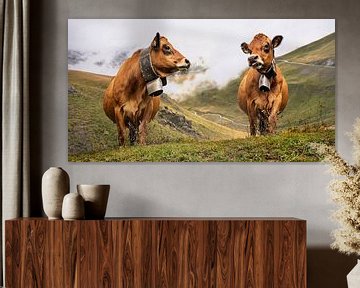 koeien met koeienbel in de bergen van Anouschka Hendriks