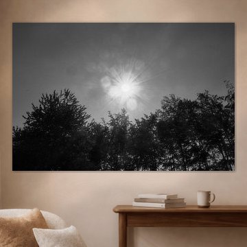 nature picture with sun