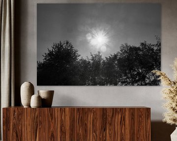 nature picture with sun