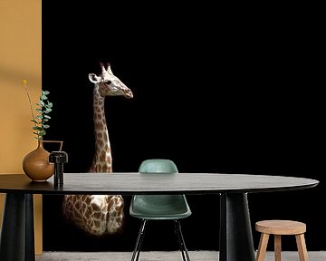 Giraffe on black by Mario van Telgen