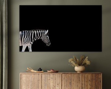 Zebra op zwart (lang) van Mario van Telgen