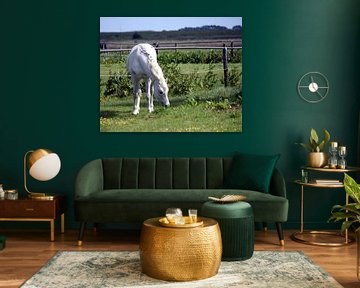 White in Waterland by Ton Brosse