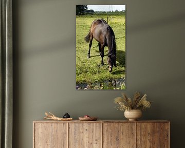 Ross in Waterland by Ton Brosse