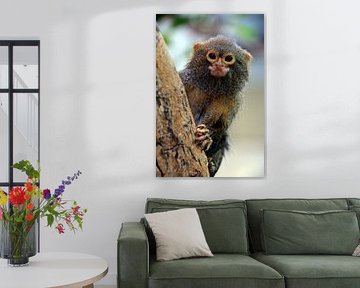 Dwarf fluid edition by Ton Brosse