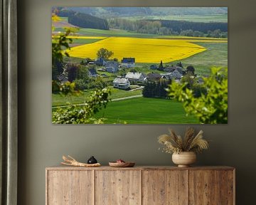 Rapsfelder bei Steffeln in der  Eifel