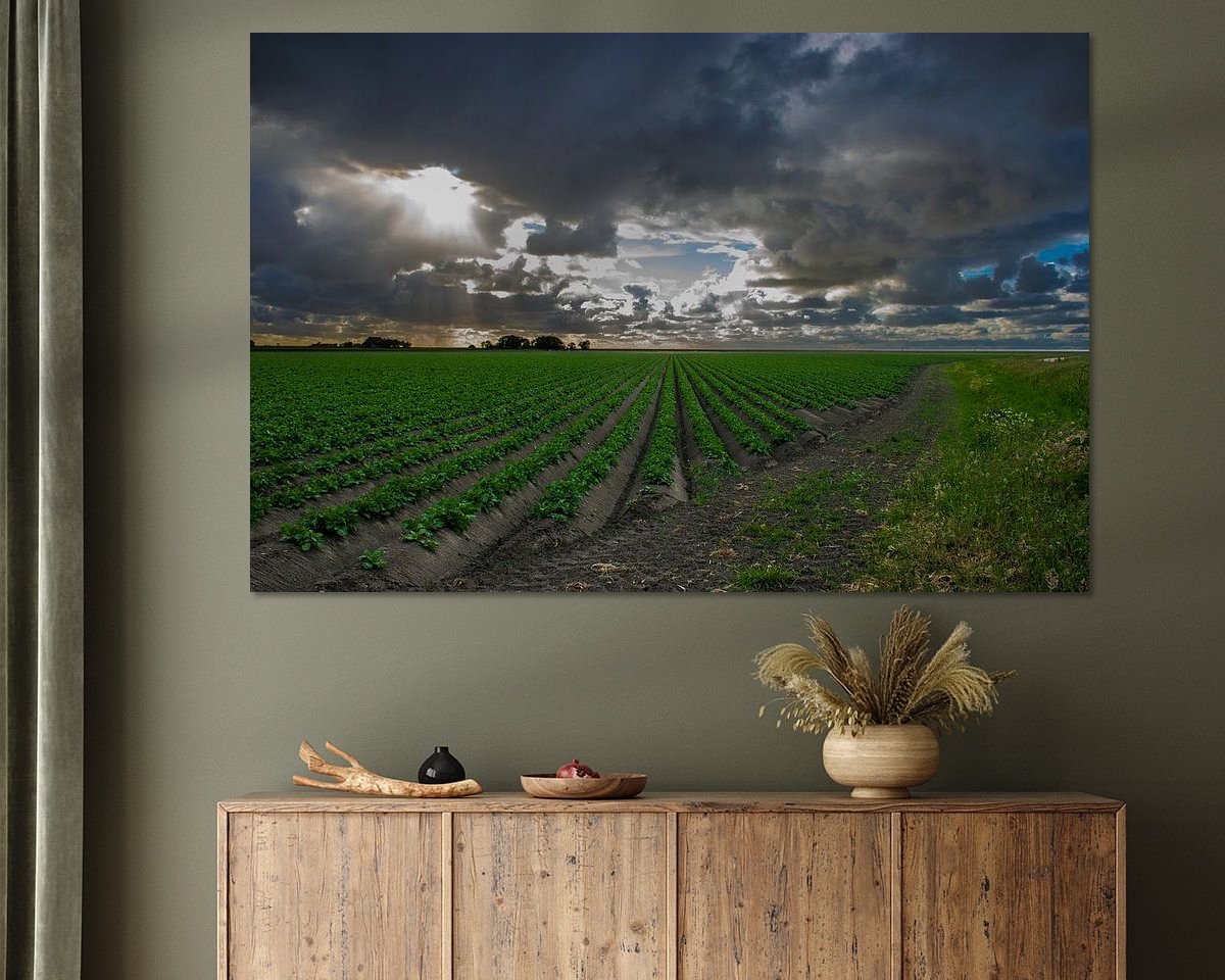 Voorbeeld van het werk in een kamer