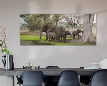 Elephants in the shade by Russell Hinckley