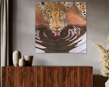 Leopard drinking portrait by Russell Hinckley