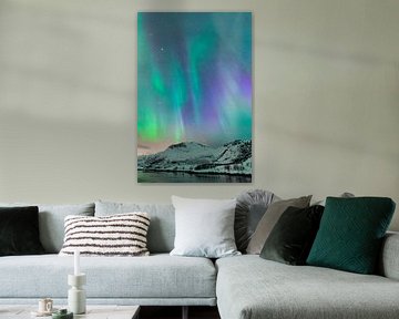 Nordlicht, Polarlicht oder Aurora Borealis am Nachthimmel über den Lofoten von Sjoerd van der Wal