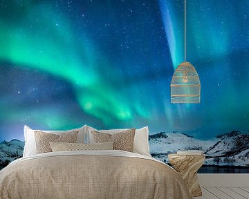 Northern Lights, polar light or Aurora Borealis in the night sky over the Lofoten islands in Norther by Sjoerd van der Wal Photography