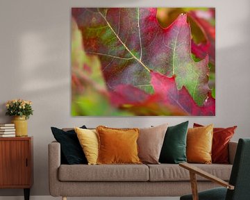 autumn leaf by Marieke Funke