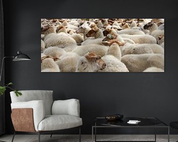 flock of sheep by Marieke Funke