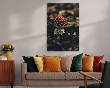Pilz, Fliegenpilz von Laura Reedijk